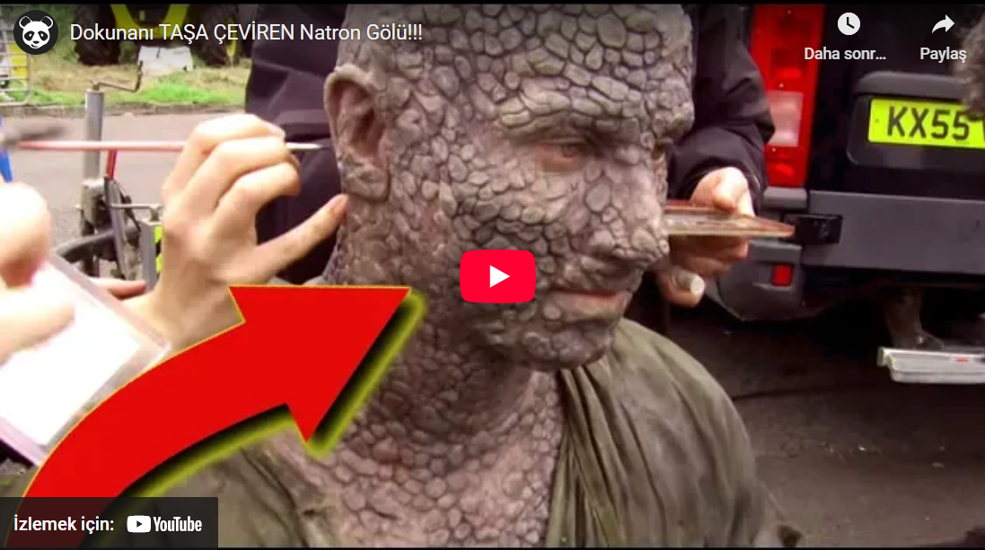 Dokunanı Taşa Çeviren Natron Gölü